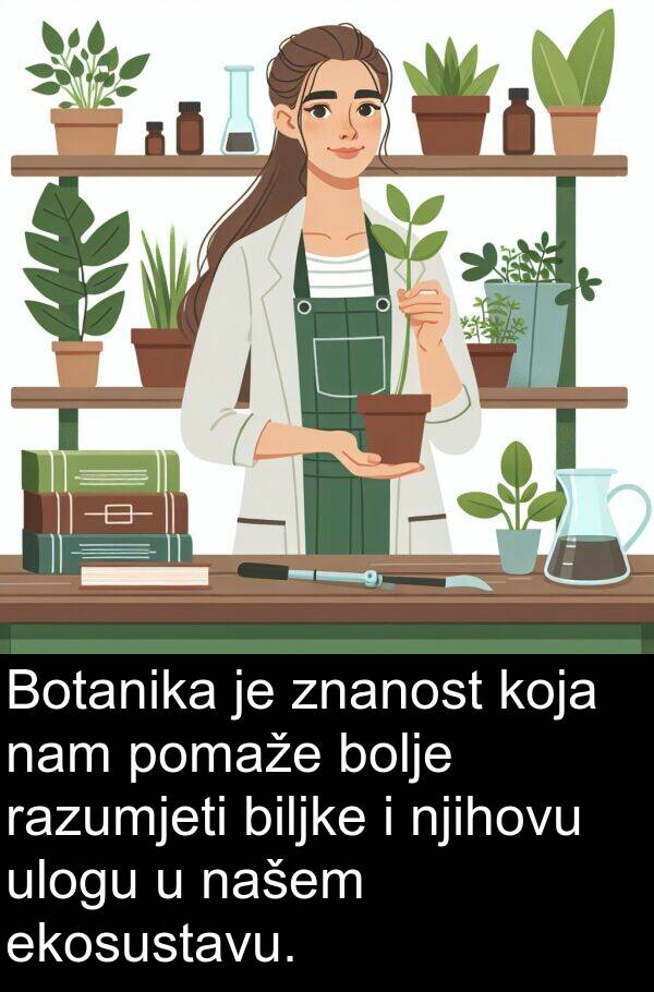 biljke: Botanika je znanost koja nam pomaže bolje razumjeti biljke i njihovu ulogu u našem ekosustavu.