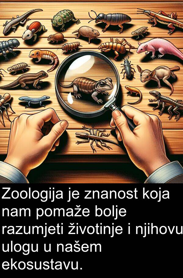 razumjeti: Zoologija je znanost koja nam pomaže bolje razumjeti životinje i njihovu ulogu u našem ekosustavu.