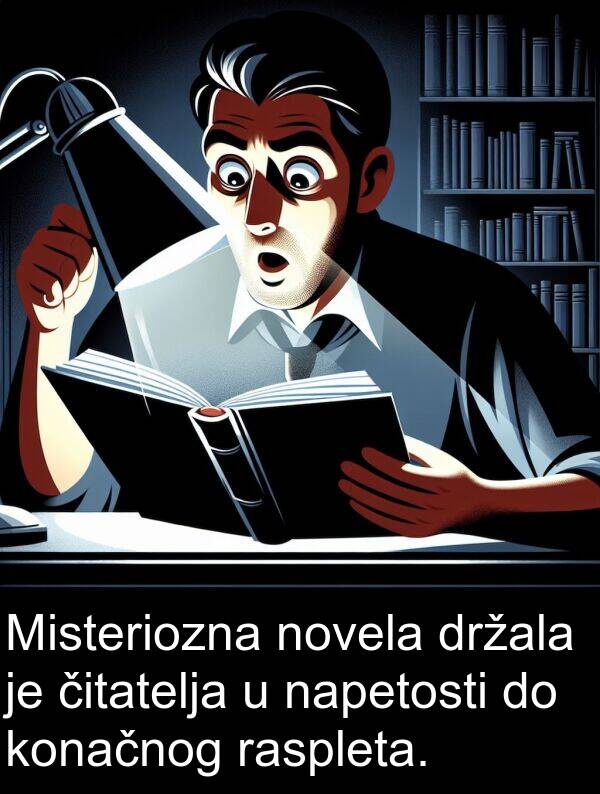 napetosti: Misteriozna novela držala je čitatelja u napetosti do konačnog raspleta.