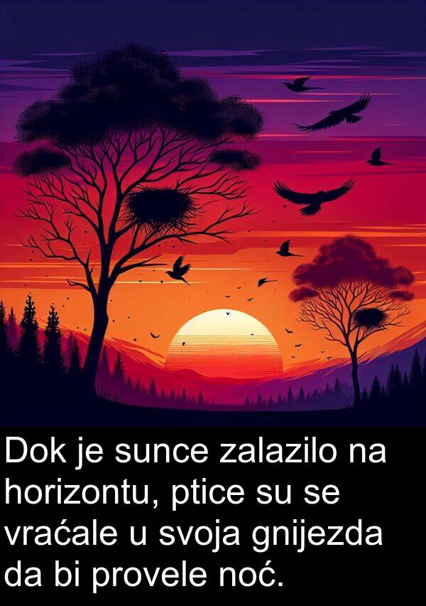 gnijezda: Dok je sunce zalazilo na horizontu, ptice su se vraćale u svoja gnijezda da bi provele noć.