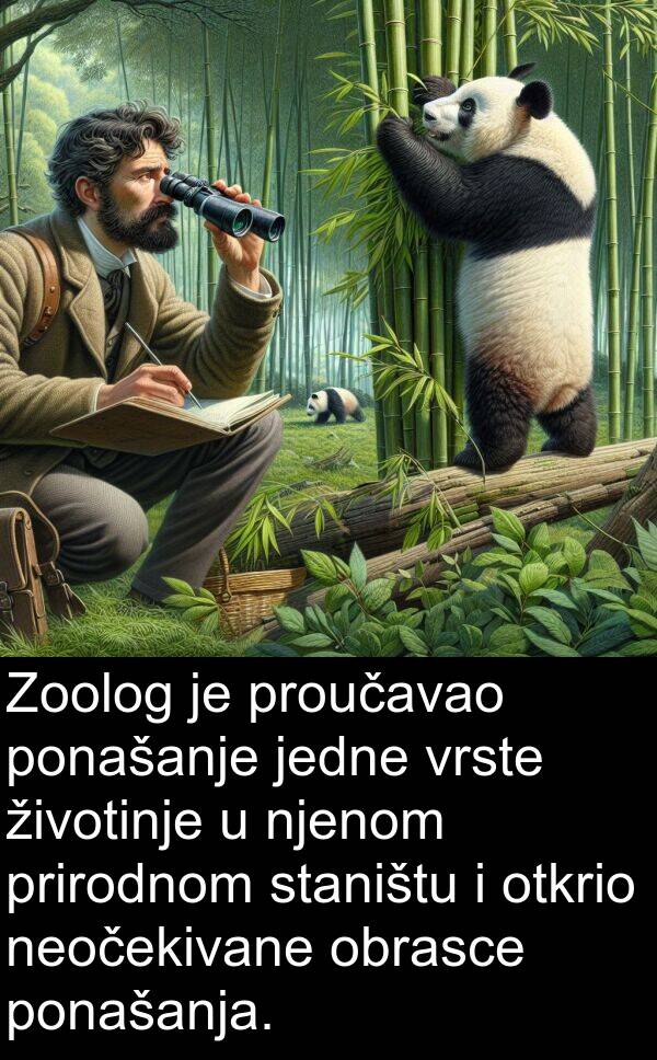 obrasce: Zoolog je proučavao ponašanje jedne vrste životinje u njenom prirodnom staništu i otkrio neočekivane obrasce ponašanja.