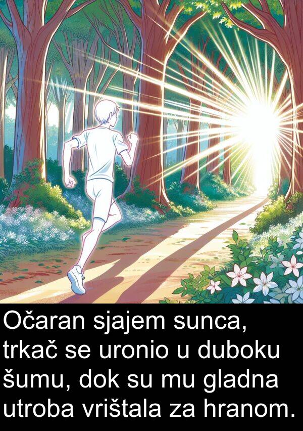 gladna: Očaran sjajem sunca, trkač se uronio u duboku šumu, dok su mu gladna utroba vrištala za hranom.