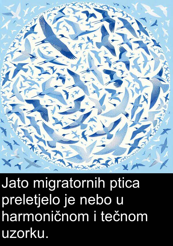 migratornih: Jato migratornih ptica preletjelo je nebo u harmoničnom i tečnom uzorku.