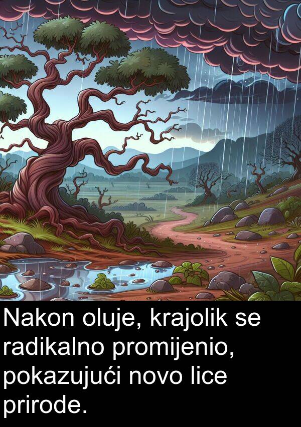 radikalno: Nakon oluje, krajolik se radikalno promijenio, pokazujući novo lice prirode.