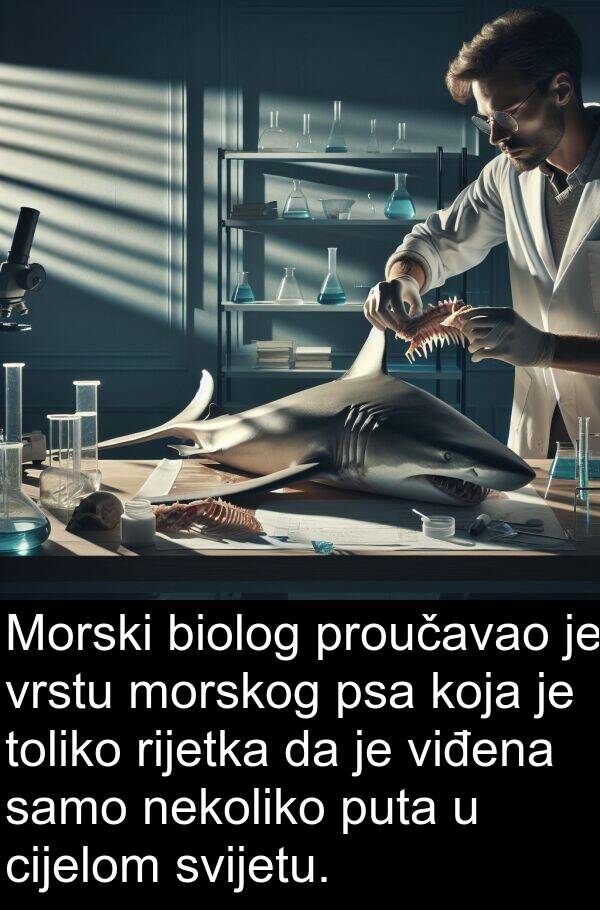 biolog: Morski biolog proučavao je vrstu morskog psa koja je toliko rijetka da je viđena samo nekoliko puta u cijelom svijetu.