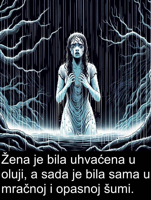 sama: Žena je bila uhvaćena u oluji, a sada je bila sama u mračnoj i opasnoj šumi.