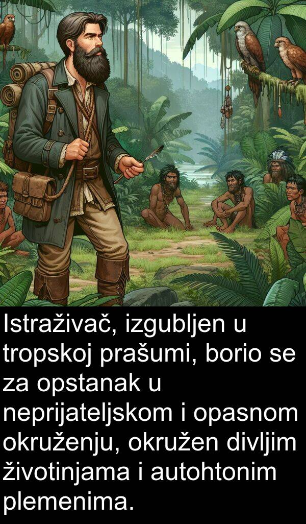 divljim: Istraživač, izgubljen u tropskoj prašumi, borio se za opstanak u neprijateljskom i opasnom okruženju, okružen divljim životinjama i autohtonim plemenima.