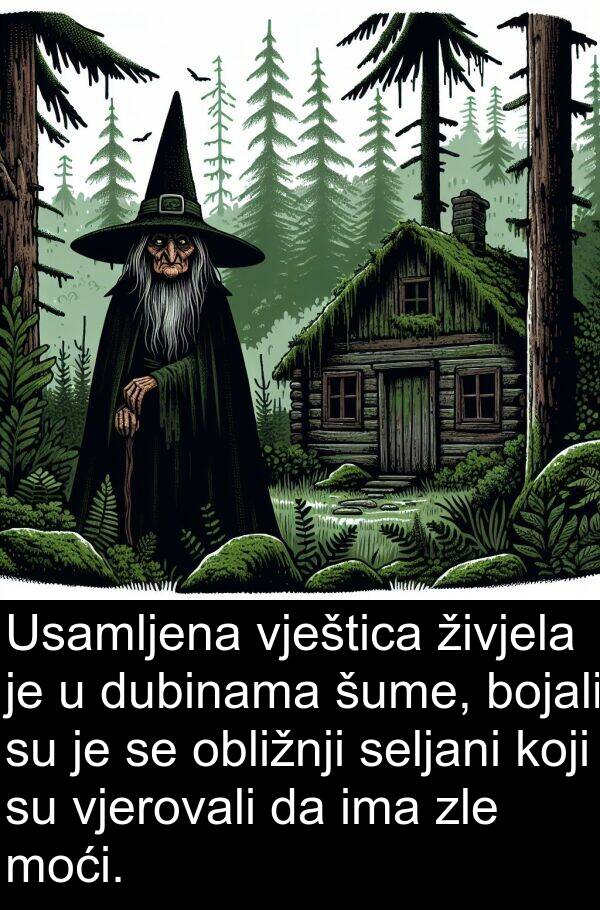 bojali: Usamljena vještica živjela je u dubinama šume, bojali su je se obližnji seljani koji su vjerovali da ima zle moći.