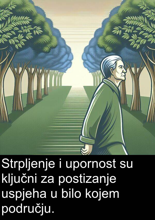 upornost: Strpljenje i upornost su ključni za postizanje uspjeha u bilo kojem području.