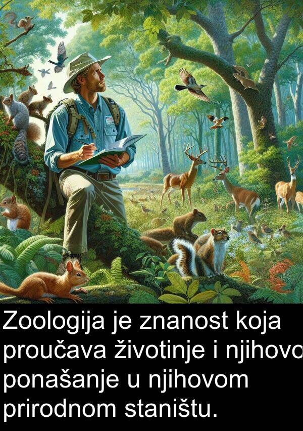 proučava: Zoologija je znanost koja proučava životinje i njihovo ponašanje u njihovom prirodnom staništu.