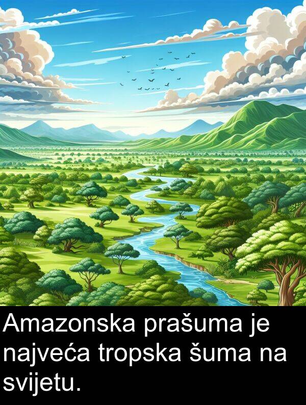 najveća: Amazonska prašuma je najveća tropska šuma na svijetu.