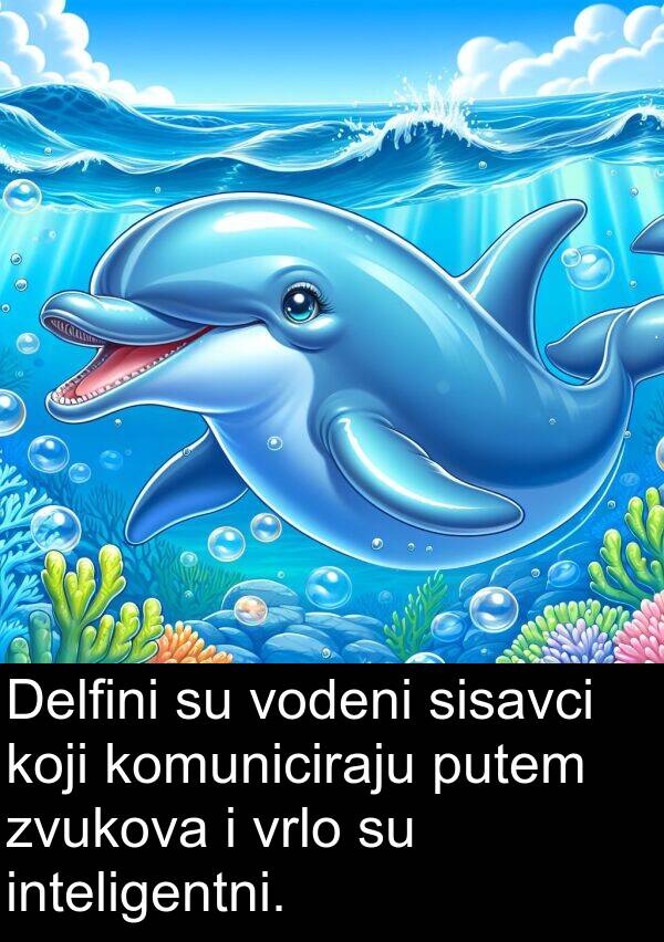 inteligentni: Delfini su vodeni sisavci koji komuniciraju putem zvukova i vrlo su inteligentni.