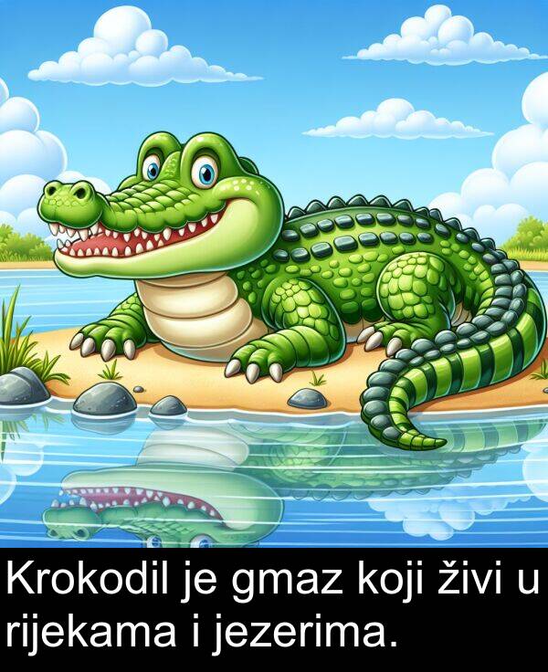 jezerima: Krokodil je gmaz koji živi u rijekama i jezerima.