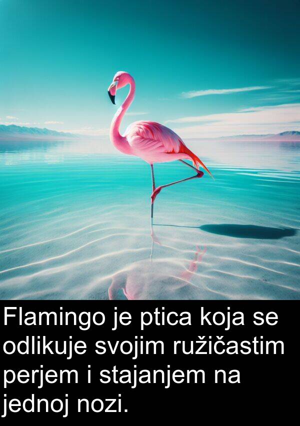 perjem: Flamingo je ptica koja se odlikuje svojim ružičastim perjem i stajanjem na jednoj nozi.