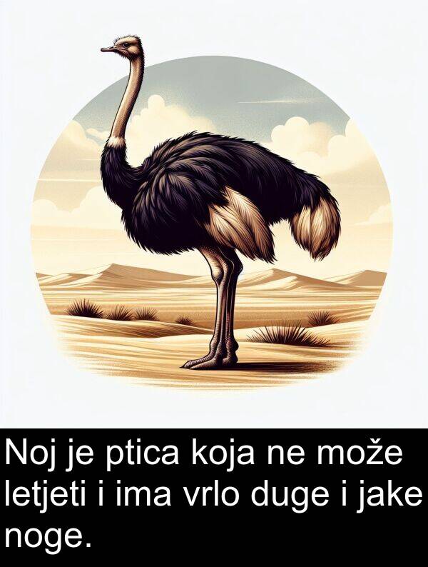 letjeti: Noj je ptica koja ne može letjeti i ima vrlo duge i jake noge.