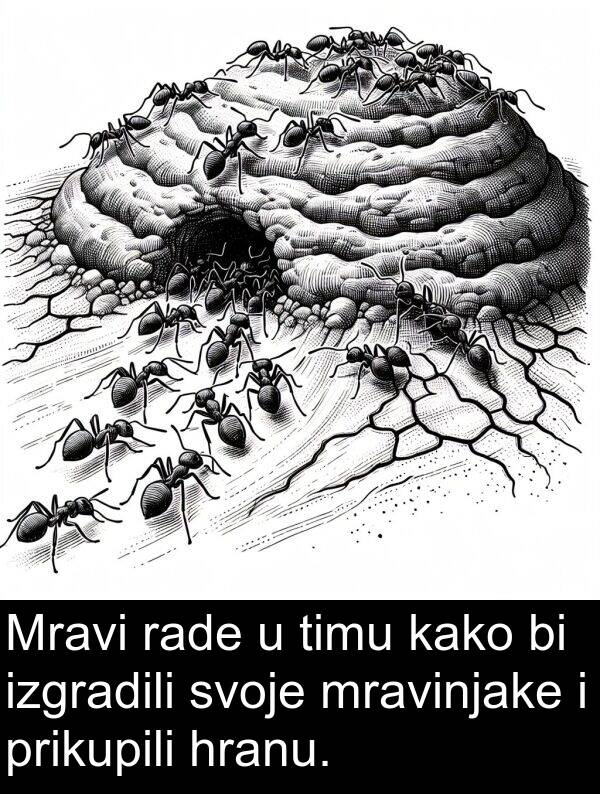 hranu: Mravi rade u timu kako bi izgradili svoje mravinjake i prikupili hranu.