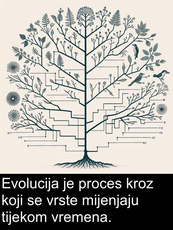 mijenjaju: Evolucija je proces kroz koji se vrste mijenjaju tijekom vremena.