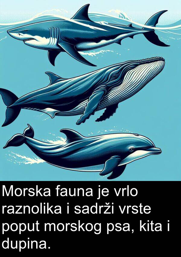 raznolika: Morska fauna je vrlo raznolika i sadrži vrste poput morskog psa, kita i dupina.