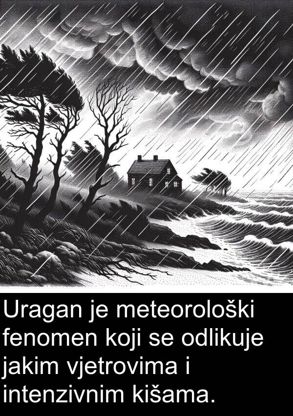 vjetrovima: Uragan je meteorološki fenomen koji se odlikuje jakim vjetrovima i intenzivnim kišama.