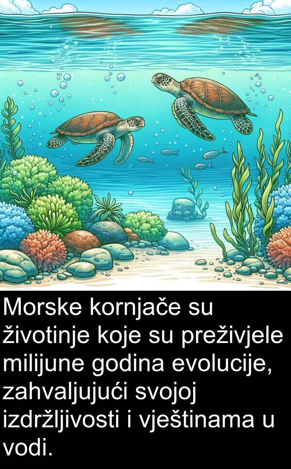 vještinama: Morske kornjače su životinje koje su preživjele milijune godina evolucije, zahvaljujući svojoj izdržljivosti i vještinama u vodi.