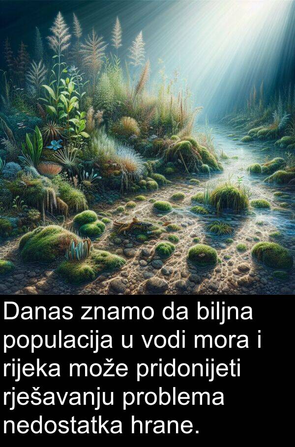 hrane: Danas znamo da biljna populacija u vodi mora i rijeka može pridonijeti rješavanju problema nedostatka hrane.