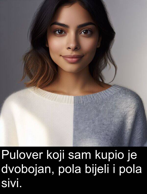 bijeli: Pulover koji sam kupio je dvobojan, pola bijeli i pola sivi.