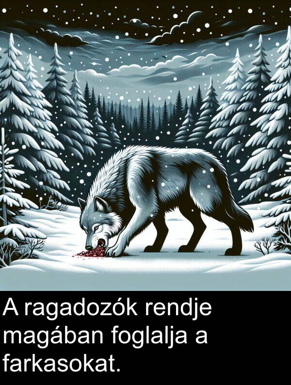 ragadozók: A ragadozók rendje magában foglalja a farkasokat.