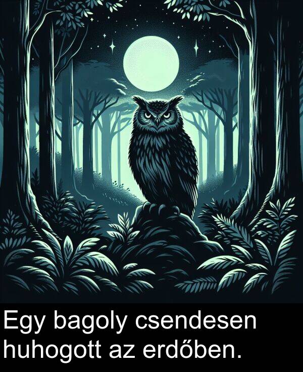 bagoly: Egy bagoly csendesen huhogott az erdőben.