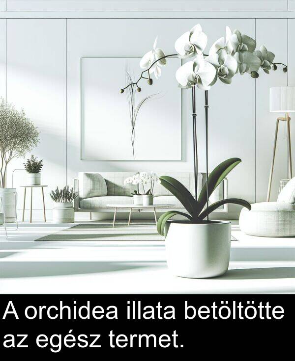 egész: A orchidea illata betöltötte az egész termet.