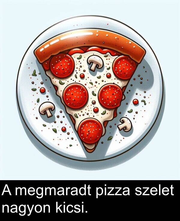 megmaradt: A megmaradt pizza szelet nagyon kicsi.