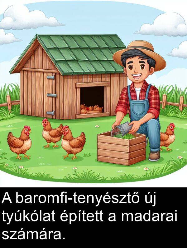 épített: A baromfi-tenyésztő új tyúkólat épített a madarai számára.