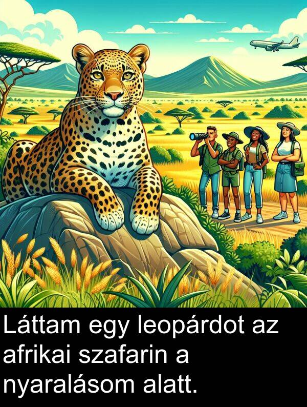 afrikai: Láttam egy leopárdot az afrikai szafarin a nyaralásom alatt.