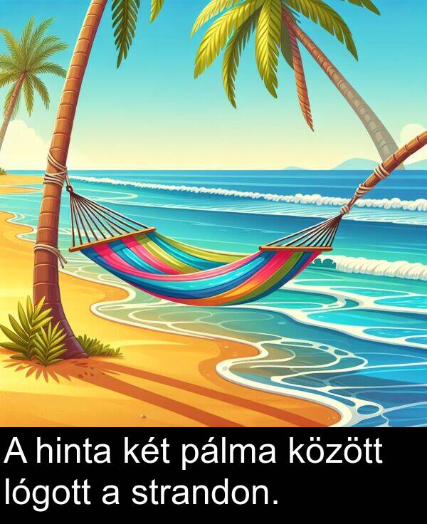 hinta: A hinta két pálma között lógott a strandon.