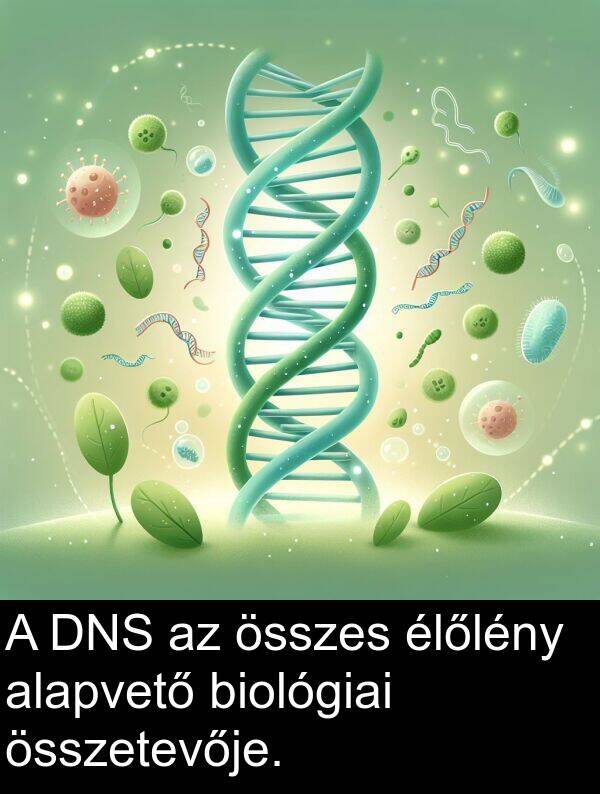 összes: A DNS az összes élőlény alapvető biológiai összetevője.