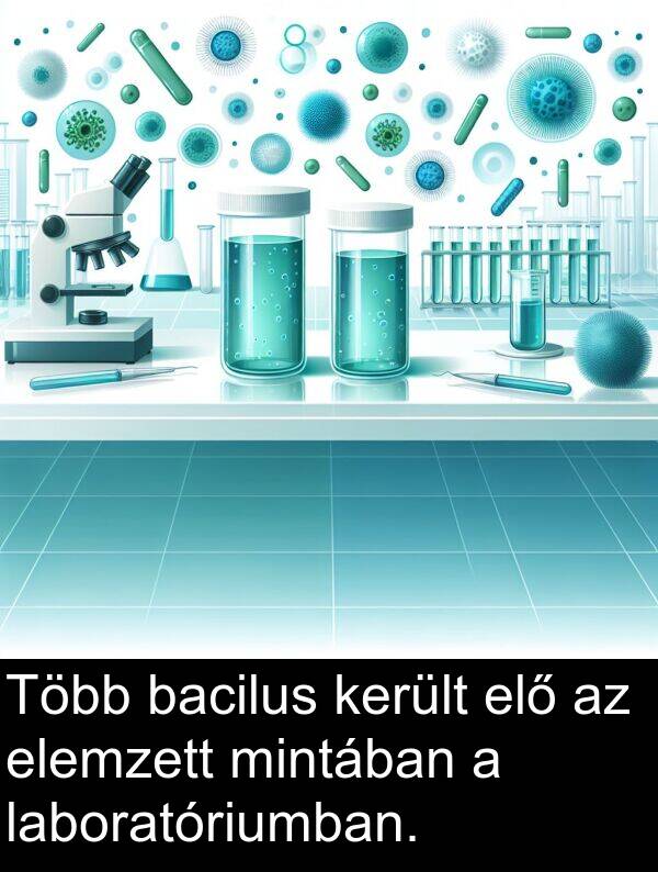 elő: Több bacilus került elő az elemzett mintában a laboratóriumban.