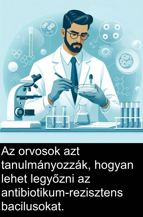 bacilusokat: Az orvosok azt tanulmányozzák, hogyan lehet legyőzni az antibiotikum-rezisztens bacilusokat.