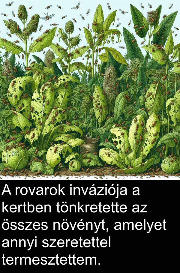 összes: A rovarok inváziója a kertben tönkretette az összes növényt, amelyet annyi szeretettel termesztettem.