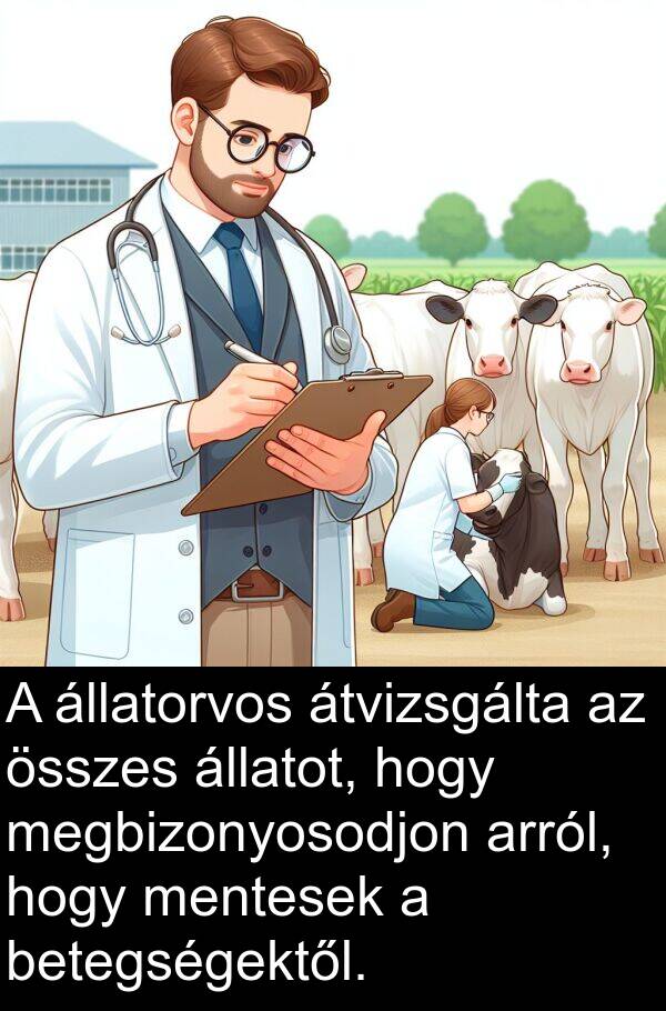 összes: A állatorvos átvizsgálta az összes állatot, hogy megbizonyosodjon arról, hogy mentesek a betegségektől.