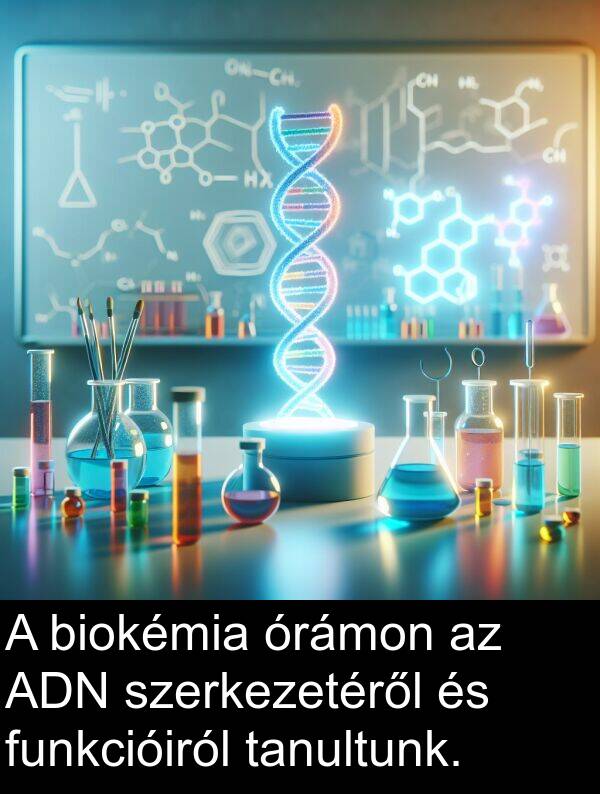 tanultunk: A biokémia órámon az ADN szerkezetéről és funkcióiról tanultunk.