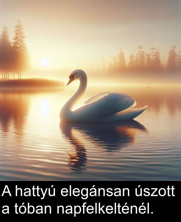 úszott: A hattyú elegánsan úszott a tóban napfelkelténél.