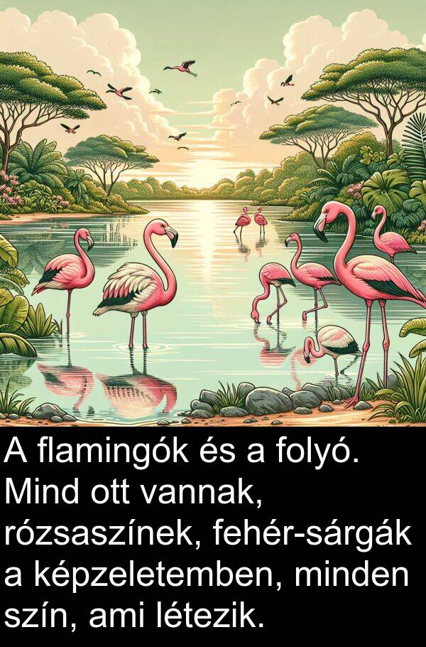 flamingók: A flamingók és a folyó. Mind ott vannak, rózsaszínek, fehér-sárgák a képzeletemben, minden szín, ami létezik.