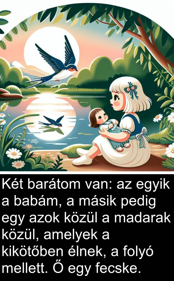 madarak: Két barátom van: az egyik a babám, a másik pedig egy azok közül a madarak közül, amelyek a kikötőben élnek, a folyó mellett. Ő egy fecske.