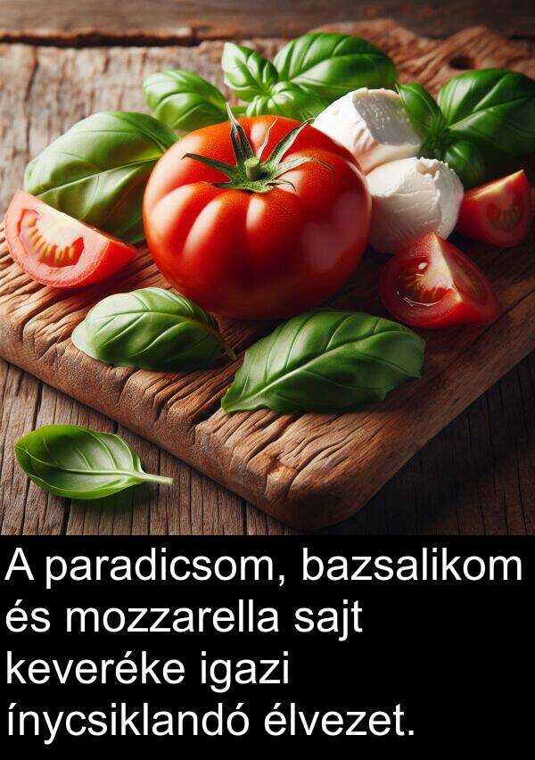 bazsalikom: A paradicsom, bazsalikom és mozzarella sajt keveréke igazi ínycsiklandó élvezet.