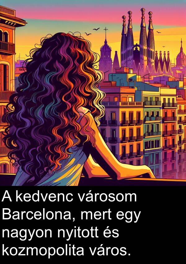 város: A kedvenc városom Barcelona, mert egy nagyon nyitott és kozmopolita város.