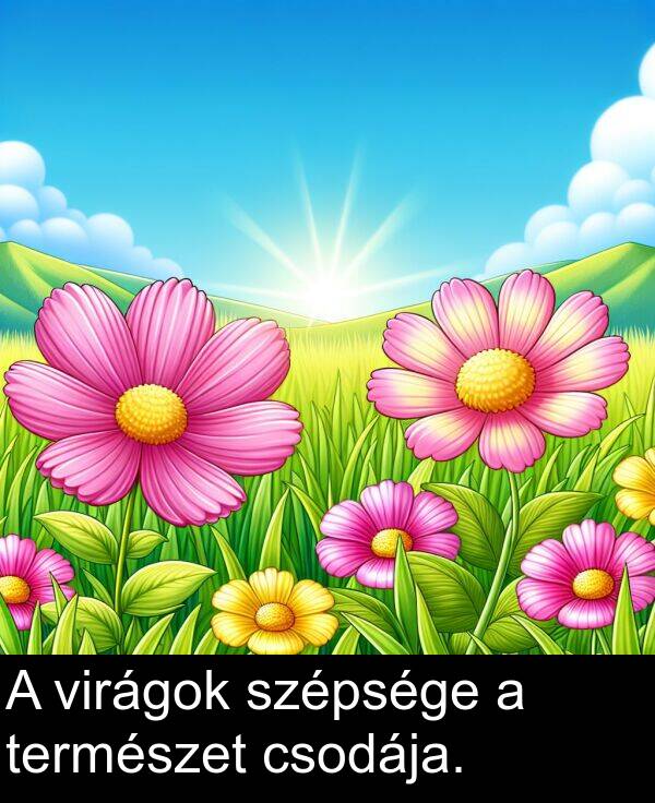 virágok: A virágok szépsége a természet csodája.