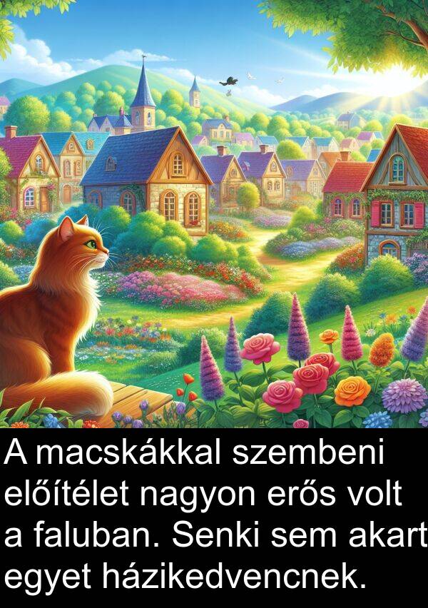 előítélet: A macskákkal szembeni előítélet nagyon erős volt a faluban. Senki sem akart egyet házikedvencnek.