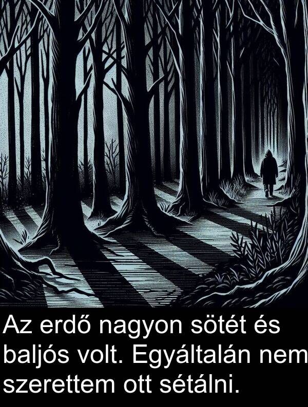 erdő: Az erdő nagyon sötét és baljós volt. Egyáltalán nem szerettem ott sétálni.