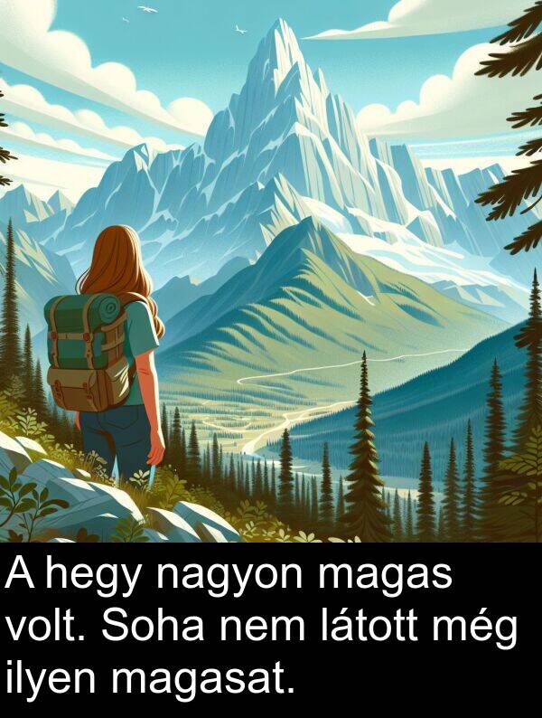 hegy: A hegy nagyon magas volt. Soha nem látott még ilyen magasat.