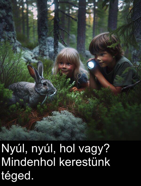 vagy: Nyúl, nyúl, hol vagy? Mindenhol kerestünk téged.