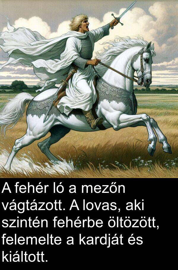 öltözött: A fehér ló a mezőn vágtázott. A lovas, aki szintén fehérbe öltözött, felemelte a kardját és kiáltott.